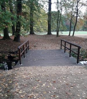 Brücke im Branitzer Park