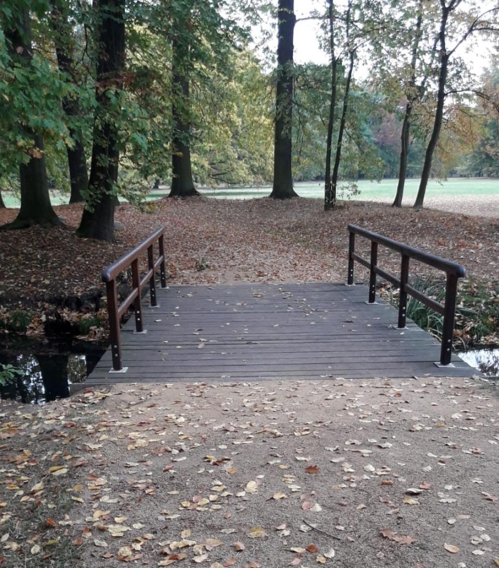 Brücke im Branitzer Park