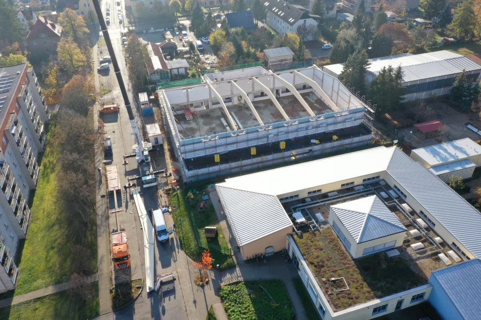Neubau 3 Feldsporthalle, Konstruktiver Holzbau